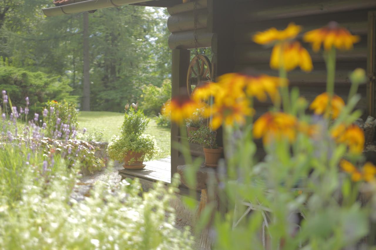 Holiday House Macesen Bledcottage Экстерьер фото